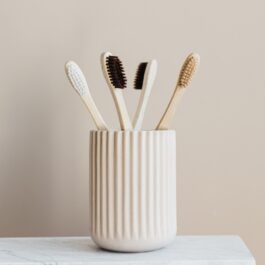 Toothbrush Cup